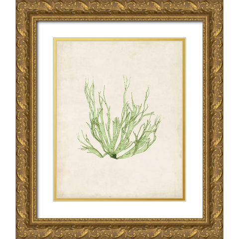 Peridot Seaweed IV Gold Ornate Wood Framed Art Print with Double Matting by Vision Studio