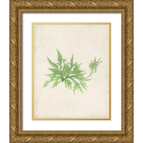 Peridot Seaweed V Gold Ornate Wood Framed Art Print with Double Matting by Vision Studio