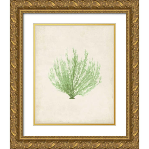 Peridot Seaweed VI Gold Ornate Wood Framed Art Print with Double Matting by Vision Studio