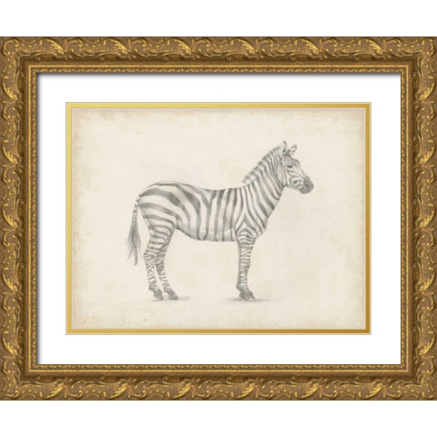 Zebra Sketch Gold Ornate Wood Framed Art Print with Double Matting by Harper, Ethan