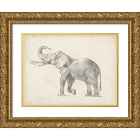 Elephant Sketch I Gold Ornate Wood Framed Art Print with Double Matting by Harper, Ethan