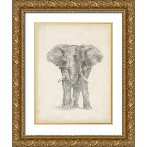 Elephant Sketch II Gold Ornate Wood Framed Art Print with Double Matting by Harper, Ethan