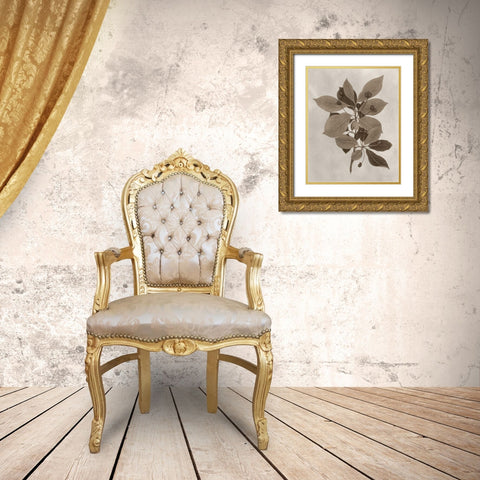 Arbor Specimen I Gold Ornate Wood Framed Art Print with Double Matting by Vision Studio