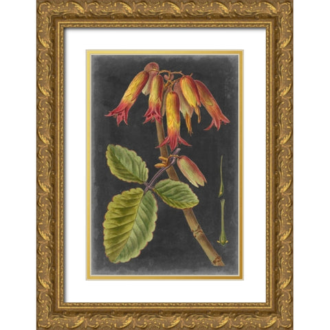 Dramatic Tropicals III Gold Ornate Wood Framed Art Print with Double Matting by Vision Studio