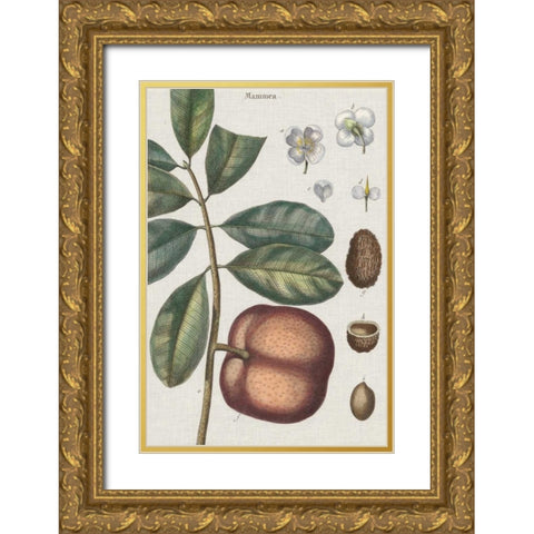 Exotic Botanique IV Gold Ornate Wood Framed Art Print with Double Matting by Vision Studio