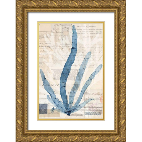 Seaweed Arrangement II Gold Ornate Wood Framed Art Print with Double Matting by Vision Studio