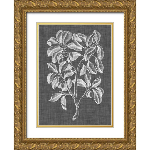 Graphic Foliage I Gold Ornate Wood Framed Art Print with Double Matting by Vision Studio