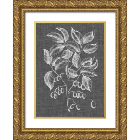 Graphic Foliage V Gold Ornate Wood Framed Art Print with Double Matting by Vision Studio