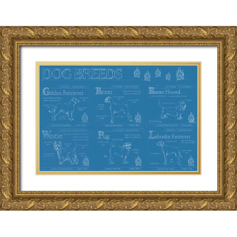Dog Breeds Infograph Gold Ornate Wood Framed Art Print with Double Matting by Harper, Ethan