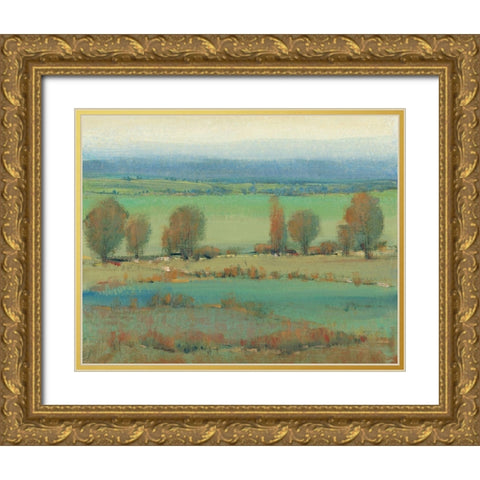 Flat Terrain II Gold Ornate Wood Framed Art Print with Double Matting by OToole, Tim