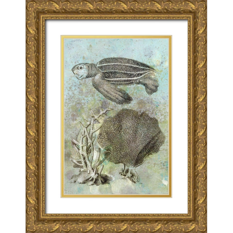 Underwater Sea Turtle II Gold Ornate Wood Framed Art Print with Double Matting by Vision Studio