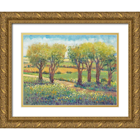 Garden Path I Gold Ornate Wood Framed Art Print with Double Matting by OToole, Tim
