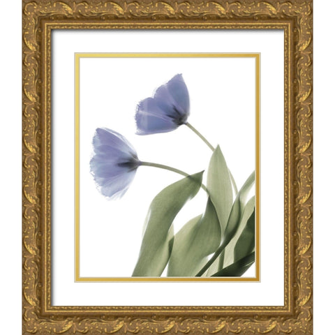 Xray Tulip III Gold Ornate Wood Framed Art Print with Double Matting by Stalus, Judy