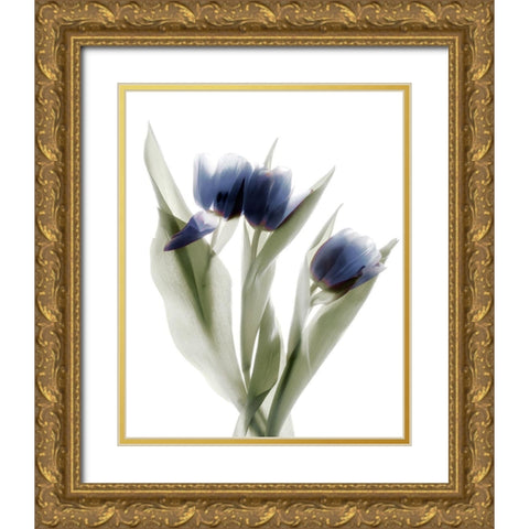 Xray Tulip IX Gold Ornate Wood Framed Art Print with Double Matting by Stalus, Judy