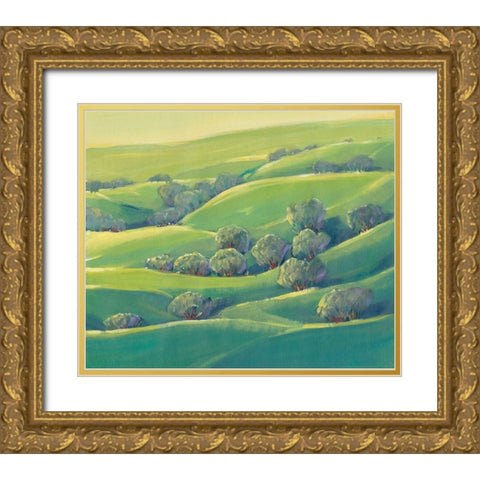 Hillside View I Gold Ornate Wood Framed Art Print with Double Matting by OToole, Tim