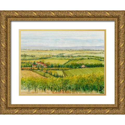 Wine Country View I Gold Ornate Wood Framed Art Print with Double Matting by OToole, Tim