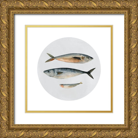 Three Fish I Gold Ornate Wood Framed Art Print with Double Matting by Scarvey, Emma