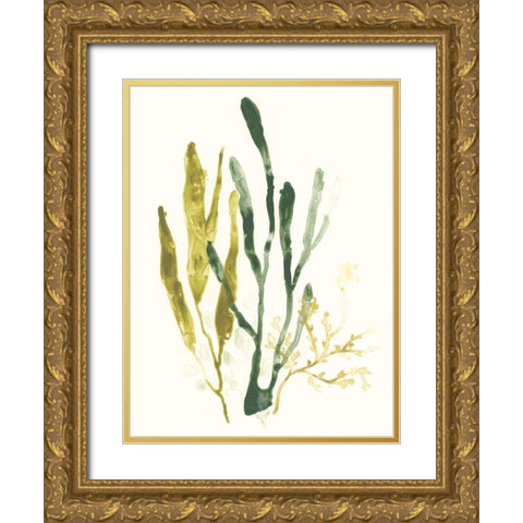 Kelp Collection I Gold Ornate Wood Framed Art Print with Double Matting by Vess, June Erica