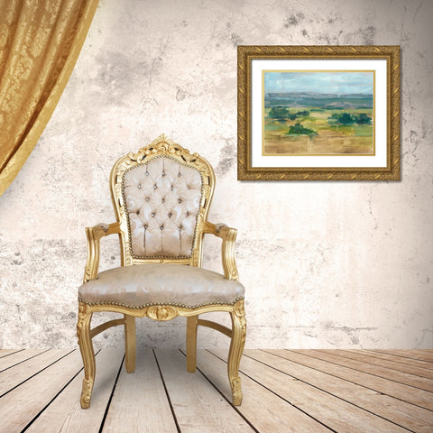 Valley View I Gold Ornate Wood Framed Art Print with Double Matting by Harper, Ethan
