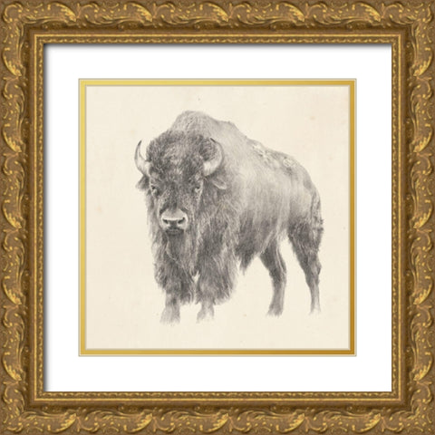 Western Bison Study Gold Ornate Wood Framed Art Print with Double Matting by Harper, Ethan