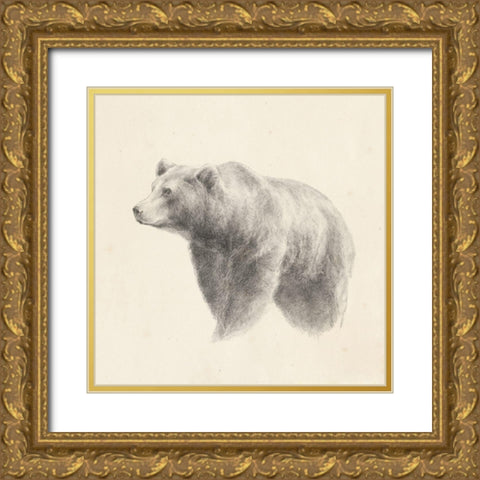 Western Bear Study Gold Ornate Wood Framed Art Print with Double Matting by Harper, Ethan