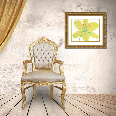 Citron Tiger Lily I Gold Ornate Wood Framed Art Print with Double Matting by OToole, Tim