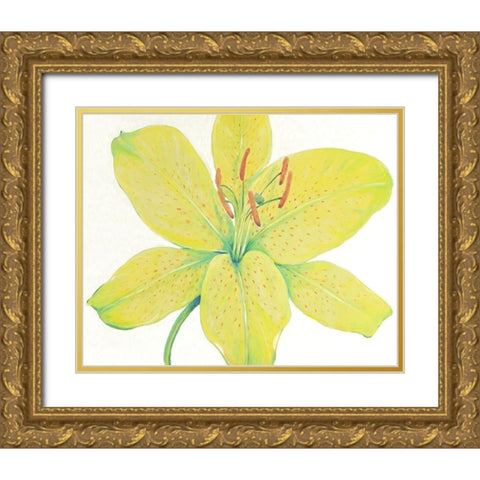 Citron Tiger Lily I Gold Ornate Wood Framed Art Print with Double Matting by OToole, Tim