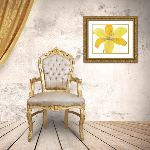 Citron Tiger Lily II Gold Ornate Wood Framed Art Print with Double Matting by OToole, Tim