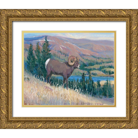 Animals of the West III Gold Ornate Wood Framed Art Print with Double Matting by OToole, Tim