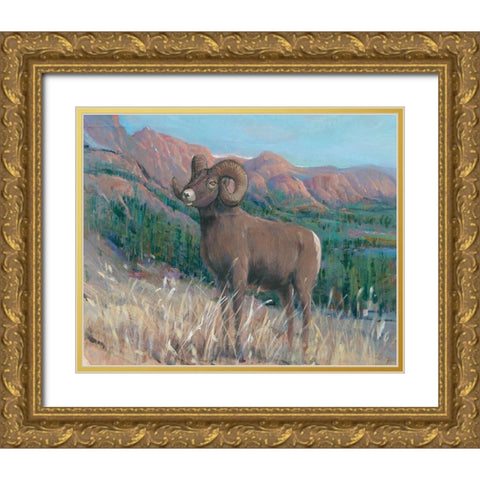 Animals of the West IV Gold Ornate Wood Framed Art Print with Double Matting by OToole, Tim