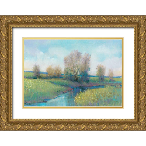 Hidden Stream I Gold Ornate Wood Framed Art Print with Double Matting by OToole, Tim