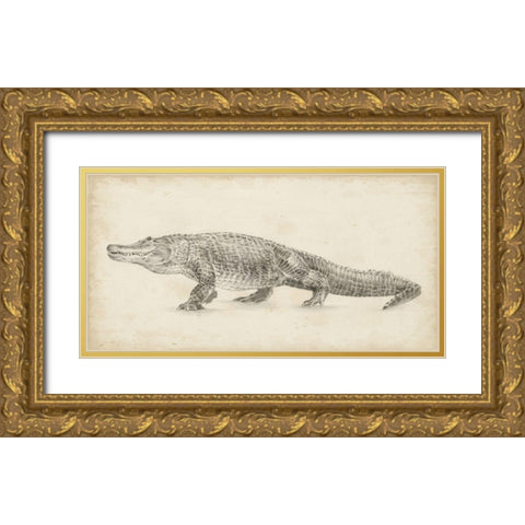 Alligator Sketch Gold Ornate Wood Framed Art Print with Double Matting by Harper, Ethan