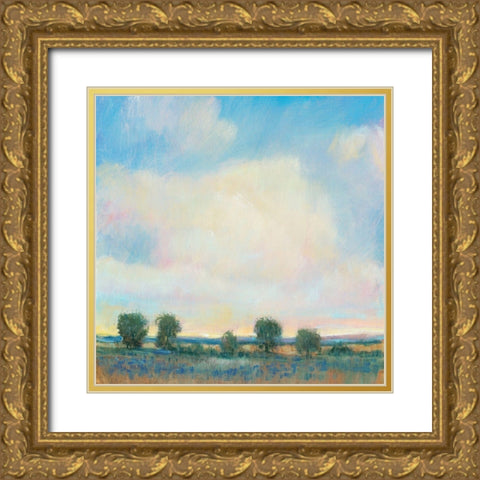 Summer Sky I Gold Ornate Wood Framed Art Print with Double Matting by OToole, Tim