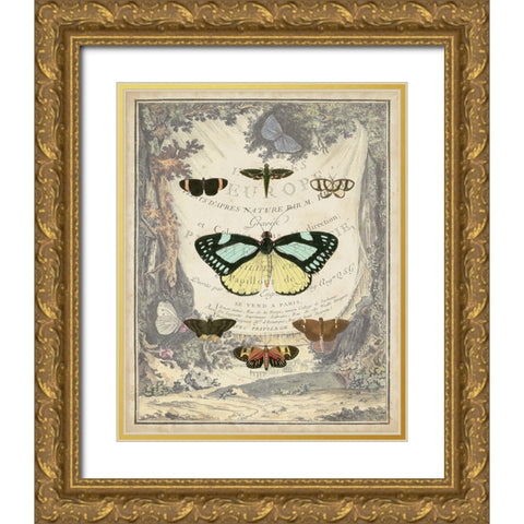 Vintage Butterfly Bookplate Gold Ornate Wood Framed Art Print with Double Matting by Vision Studio