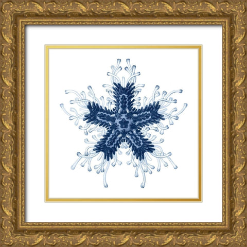 Navy Ocean Gems IV Gold Ornate Wood Framed Art Print with Double Matting by Vision Studio