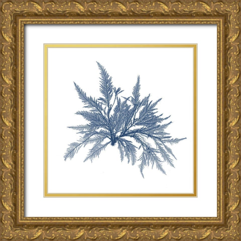 Navy Seaweed V Gold Ornate Wood Framed Art Print with Double Matting by Vision Studio