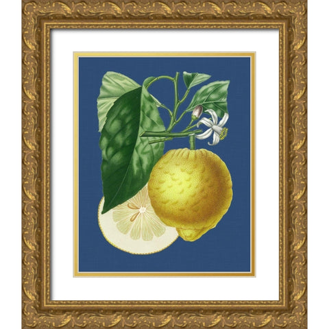 French Lemon on Navy I Gold Ornate Wood Framed Art Print with Double Matting by Risso, A.