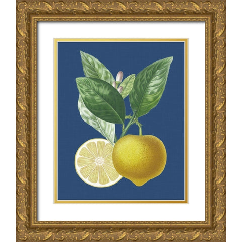 French Lemon on Navy II Gold Ornate Wood Framed Art Print with Double Matting by Risso, A.