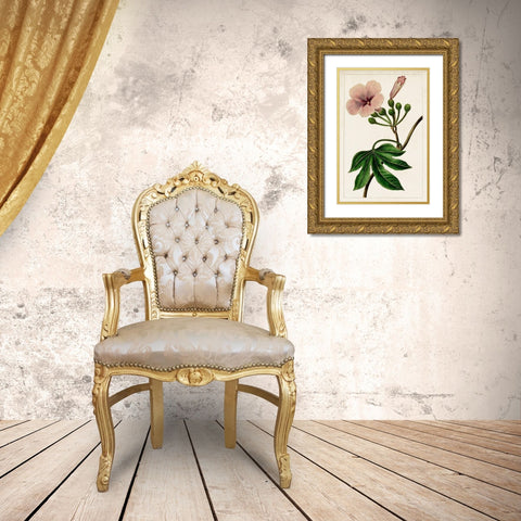 Mauve Botanicals I Gold Ornate Wood Framed Art Print with Double Matting by Unknown