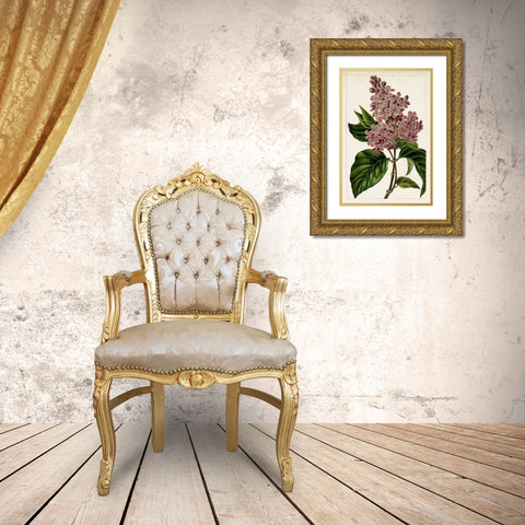 Mauve Botanicals IV Gold Ornate Wood Framed Art Print with Double Matting by Unknown