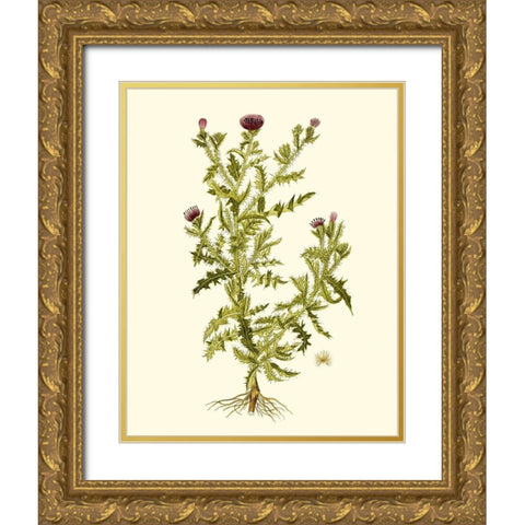 Olive Greenery II Gold Ornate Wood Framed Art Print with Double Matting by Unknown