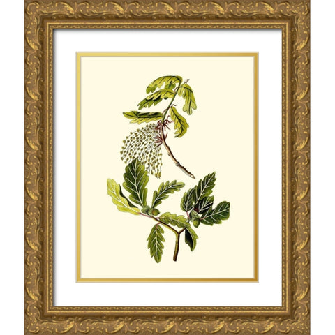 Olive Greenery III Gold Ornate Wood Framed Art Print with Double Matting by Unknown