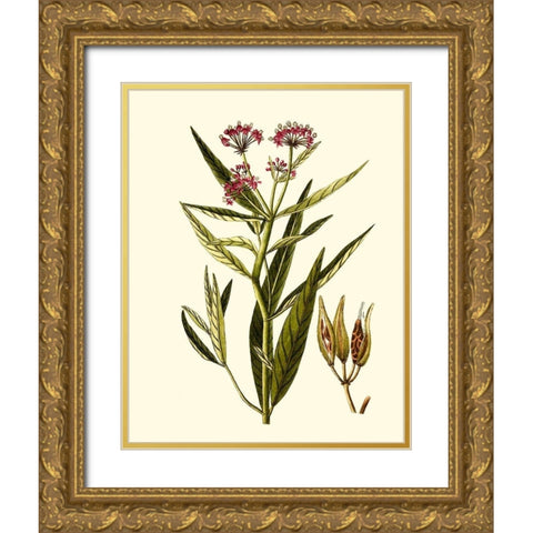 Olive Greenery VIII Gold Ornate Wood Framed Art Print with Double Matting by Unknown
