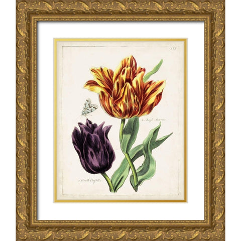 Tulip Classics III Gold Ornate Wood Framed Art Print with Double Matting by Unknown