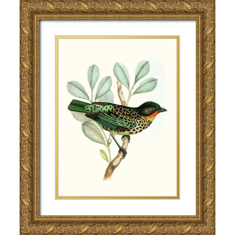 On Perch I Gold Ornate Wood Framed Art Print with Double Matting by Unknown