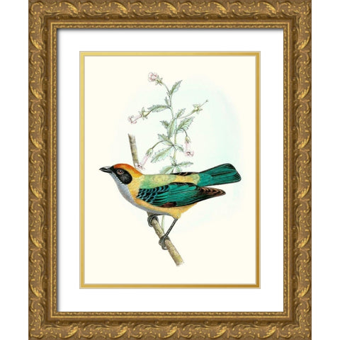 On Perch II Gold Ornate Wood Framed Art Print with Double Matting by Unknown
