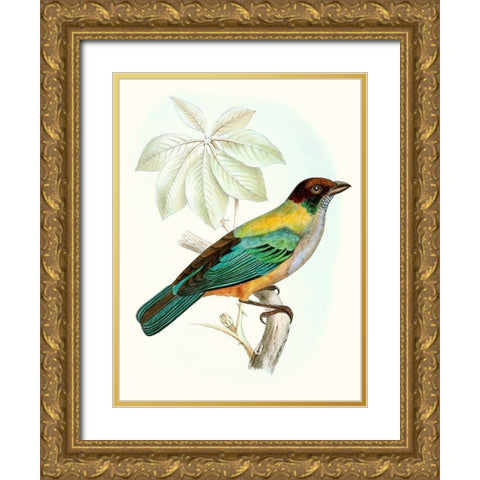 On Perch III Gold Ornate Wood Framed Art Print with Double Matting by Unknown