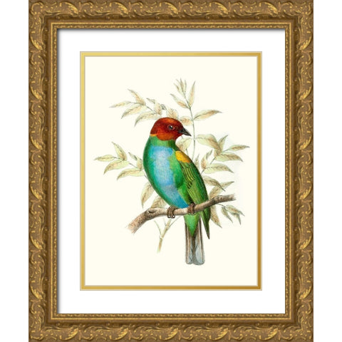 On Perch IV Gold Ornate Wood Framed Art Print with Double Matting by Unknown