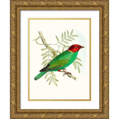 On Perch V Gold Ornate Wood Framed Art Print with Double Matting by Unknown