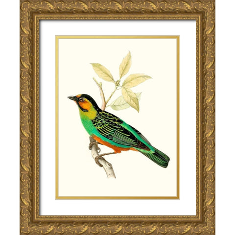 On Perch VI Gold Ornate Wood Framed Art Print with Double Matting by Unknown